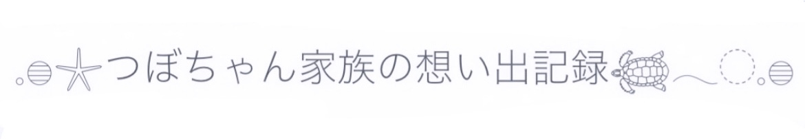 つぼちゃん家族の想い出記録